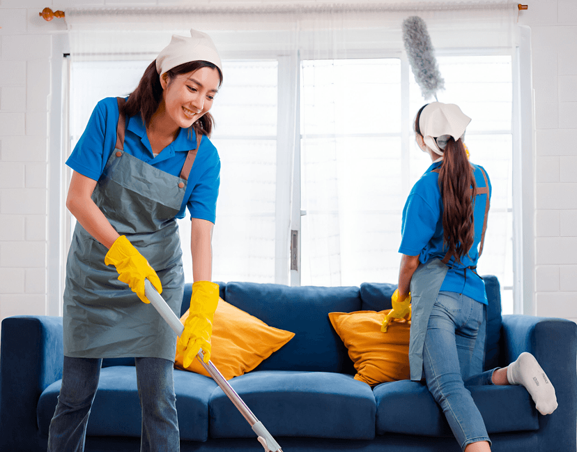 Professional Cleaning